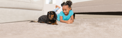 Blog Header Image Blog Header Image